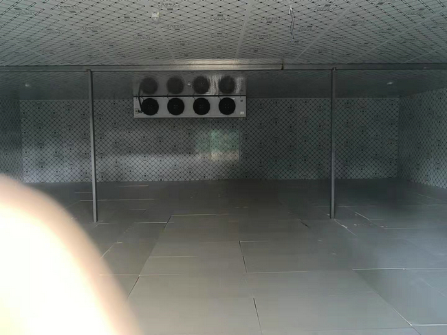 鮮花冷庫(kù)可行嗎?鮮花能不能放冷庫(kù)