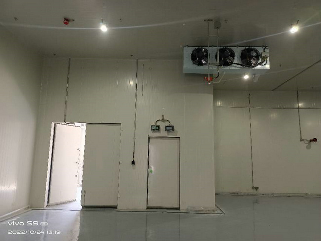 湖州建30噸蔬菜保鮮庫造價要多少錢？